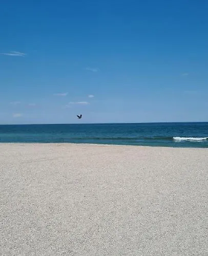 Bellemario By Solid House Daire Mamaia